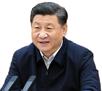 认哥赌博诈骗上亿韩元