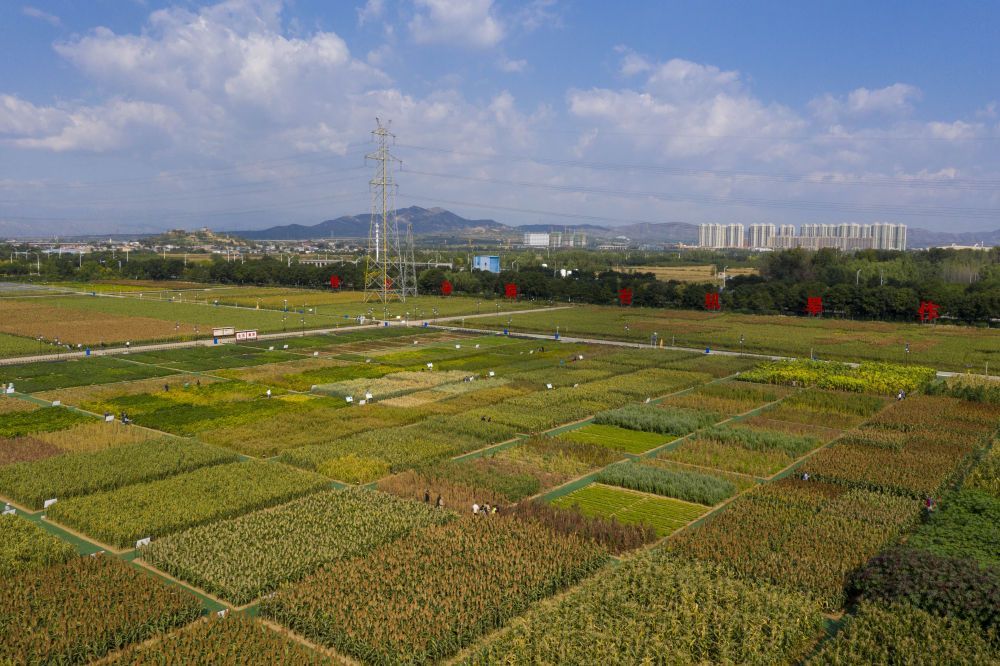 四部门延续实施失业保险稳岗扩岗政策举措