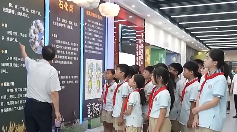 剑网西塞套