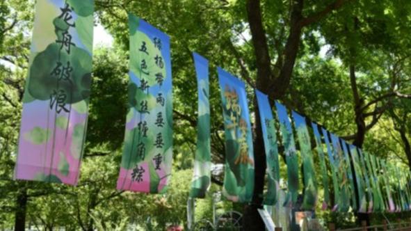 中国人民的好朋友为了友谊跨越山海