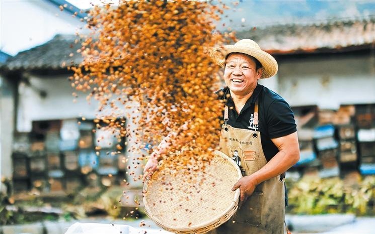 俄罗斯车臣首府发生爆炸致死