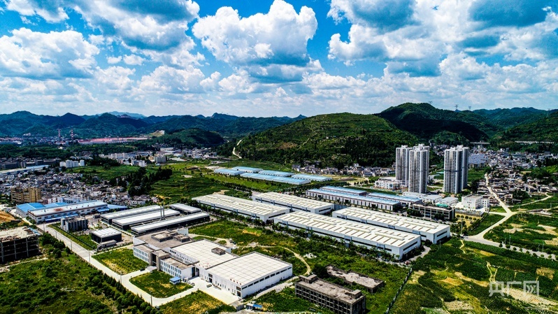 杨紫李现国色芳华开始招商